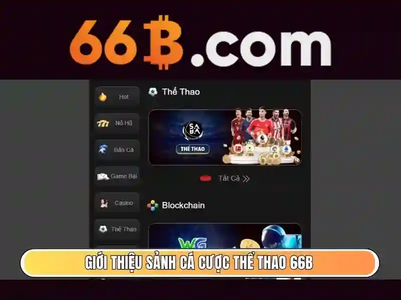 Sảnh cá cược thể thao 66b với tỷ lệ kèo hấp dẫn