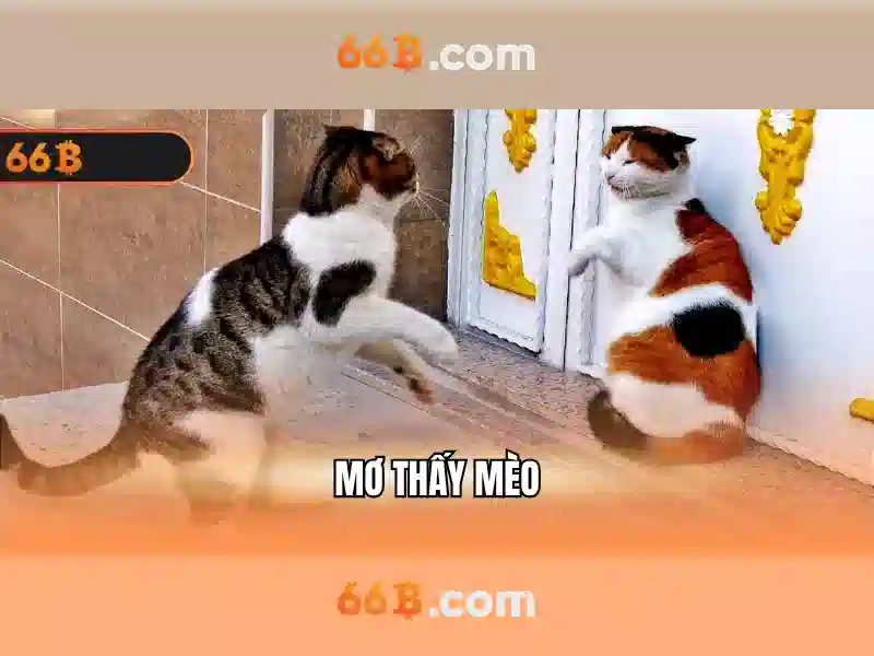 Trải nghiệm người dùng và phản hồi cộng đồng