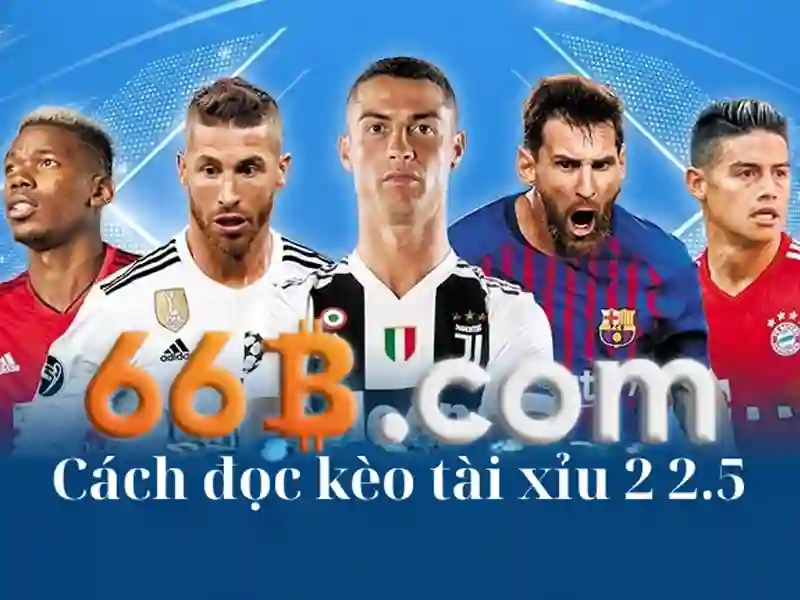 66b..com – Tổng quan chủ đề và giá trị cốt lõi