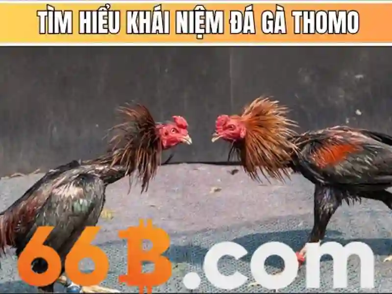 Banner giới thiệu sảnh cá cược esport tại nhà cái 66b với các nhân vật game nổi tiếng