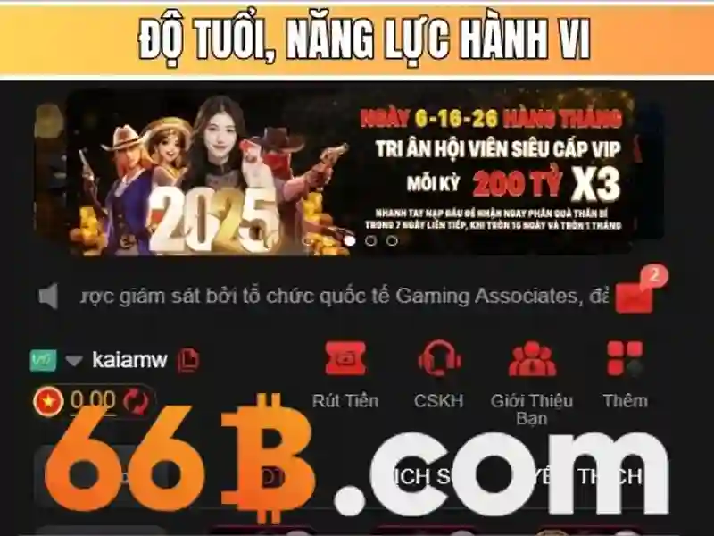 66b quang trung hải dương – Sản phẩm và dịch vụ chính