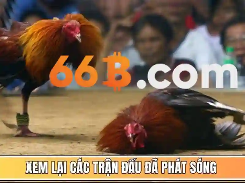 chăm sóc khách hàng 66b – Giới thiệu đầy cảm hứng