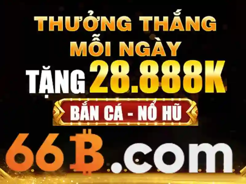 Tổng quan về quyền và nghĩa vụ của người chơi tại nhà cái 66b